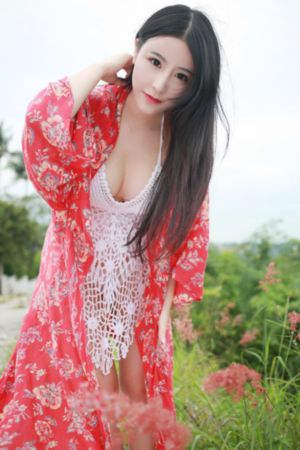 陆战之王电视剧免费观看全集