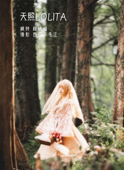 姐姐的朋友 韩国