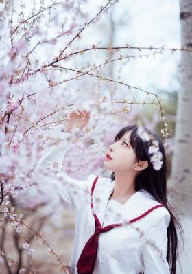帐篷里的小秘密免费全集